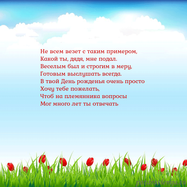 Открытка с тюльпанами