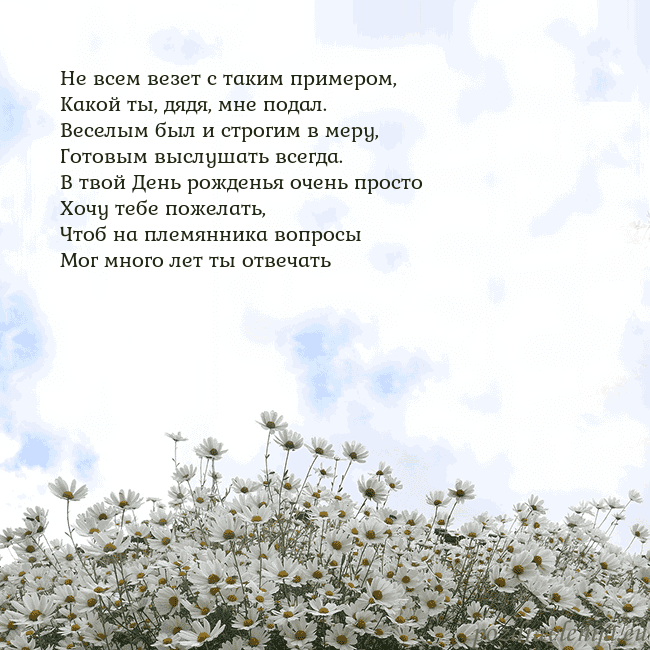 Открытка с ромашками