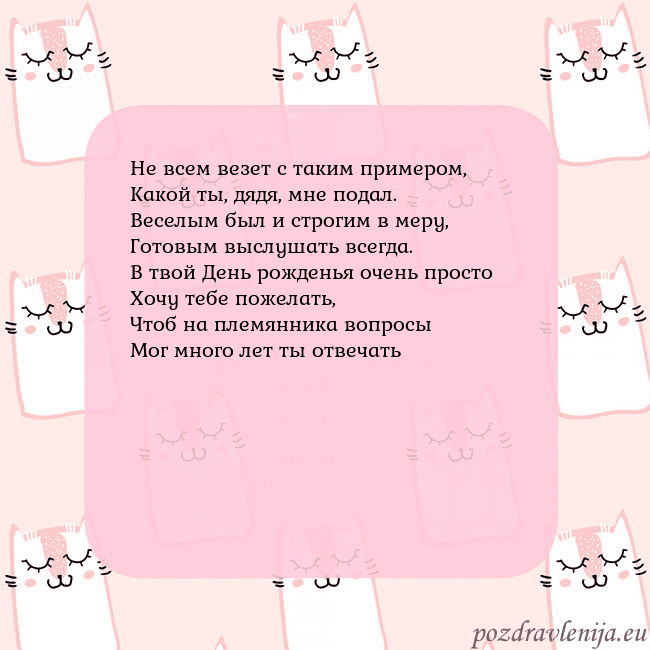 Розовая открытка с забавными кошками