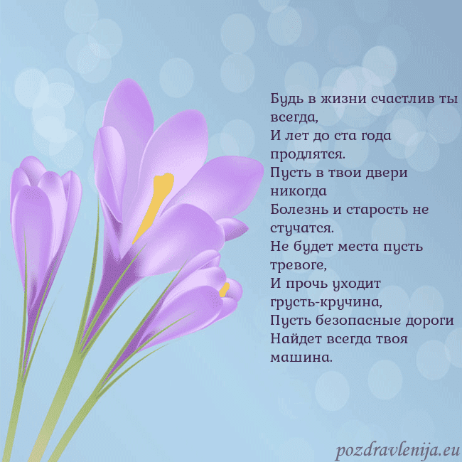 Открытка с крокусом