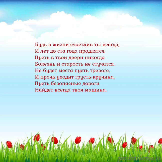 Открытка с тюльпанами