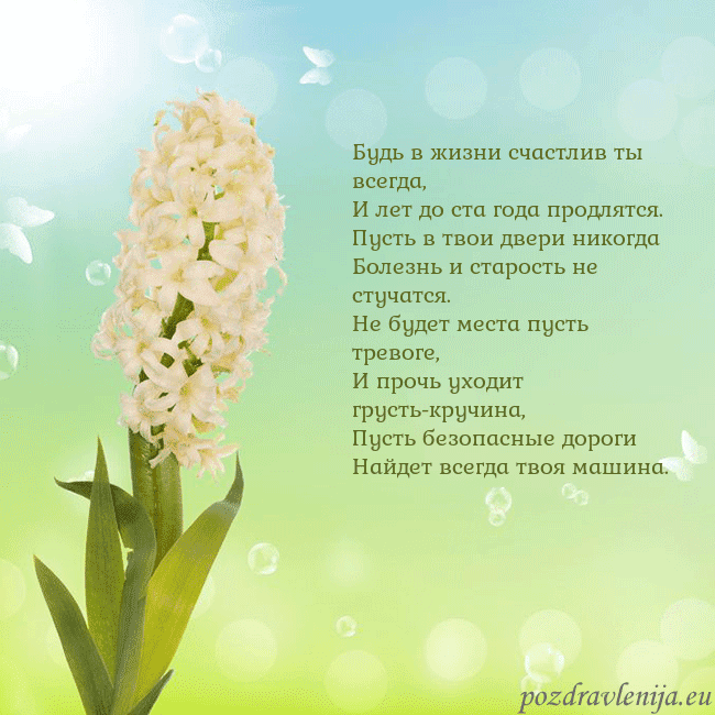 Открытка с гиацинтом