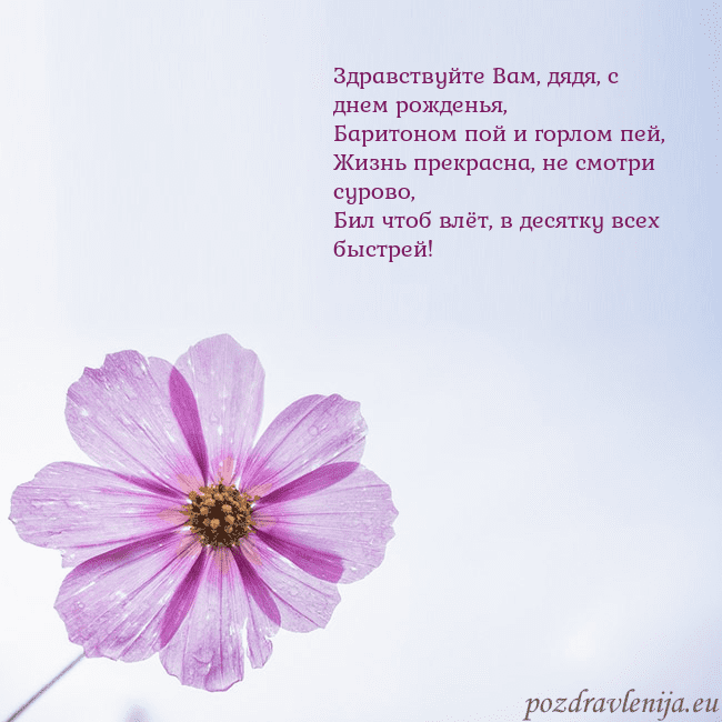 Электронная открытка с фиолетовым цветком