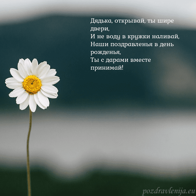 Электронная открытка с ромашкой