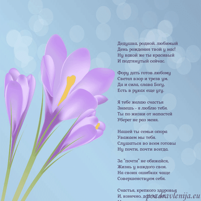 Открытка с крокусом Дедушка, родной, любимый
День рождения твой у нас! Открытка с крокусом