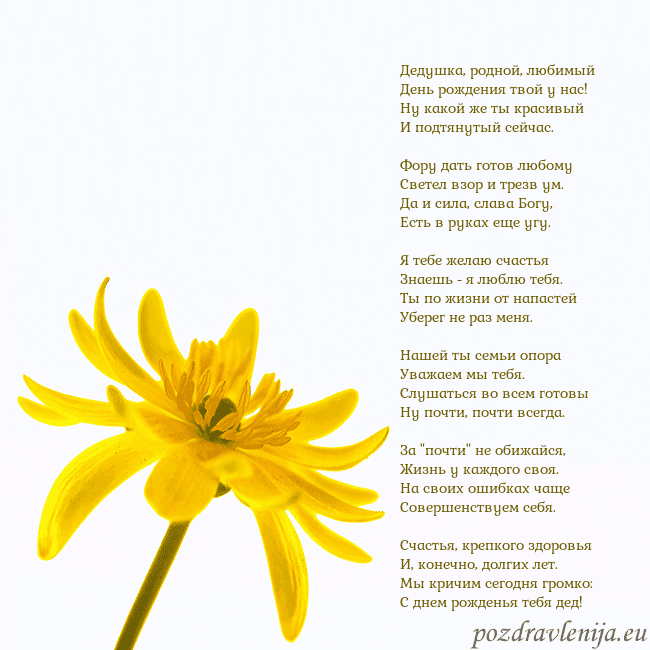 Открытка с желтым цветком Дедушка, родной, любимый
День рождения твой у нас! Открытка с желтым цветком