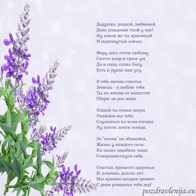 Открытка с люпинами Дедушка, родной, любимый
День рождения твой у нас! Открытка с люпинами