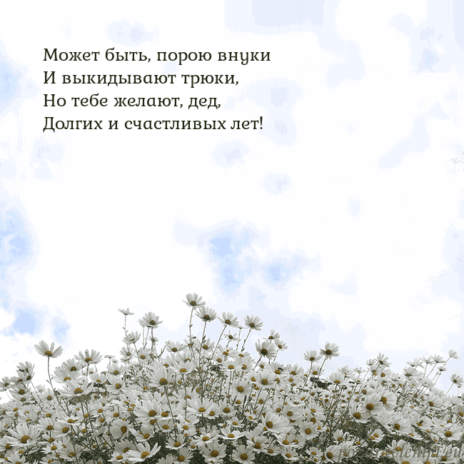 Открытка с ромашками