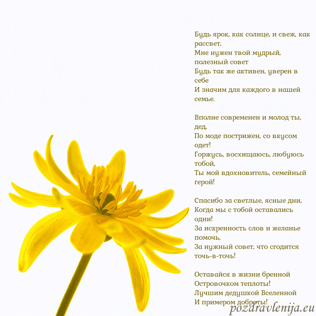 Открытка с желтым цветком Будь ярок, как солнце, и свеж, как рассвет,
Мне ну Открытка с желтым цветком