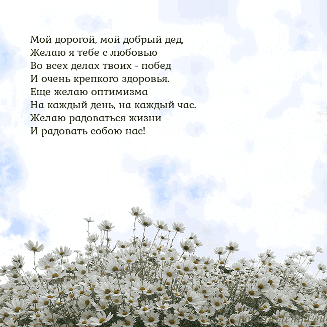 Открытка с ромашками
