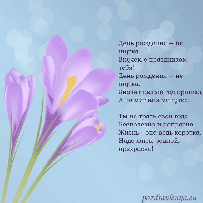 Открытка с крокусом