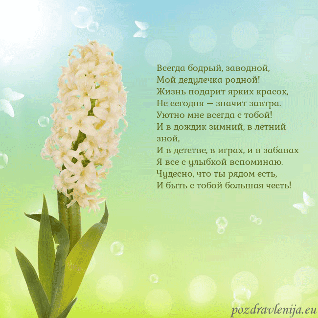 Открытка с гиацинтом