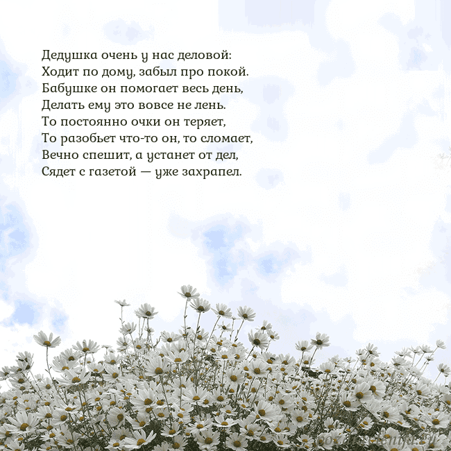 Открытка с ромашками