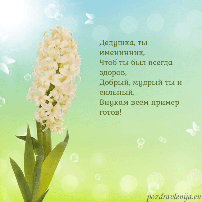 Открытка с гиацинтом