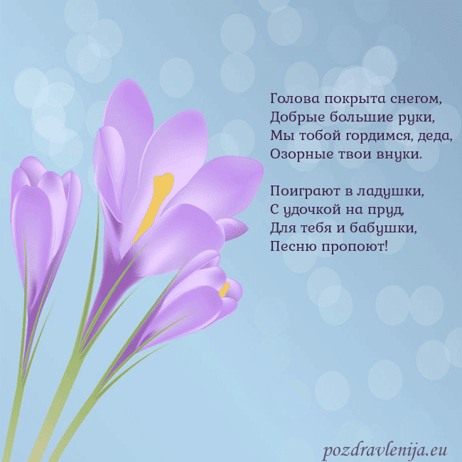 Открытка с крокусом