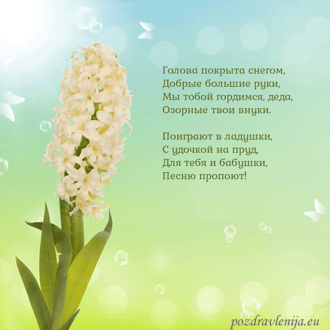Открытка с гиацинтом