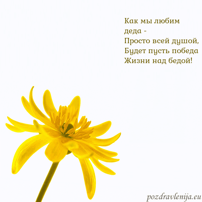 Открытка с желтым цветком