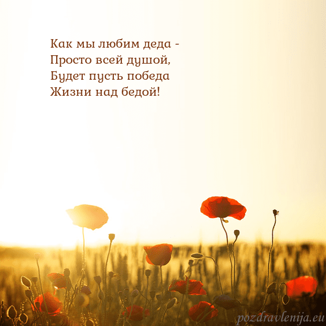 Электронная открытка с полем маков