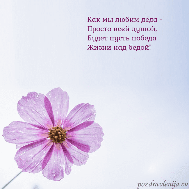 Электронная открытка с фиолетовым цветком