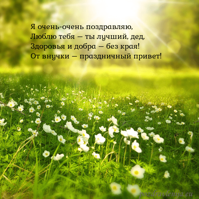 Электронная открытка с утопающим в солнечном свете лугом