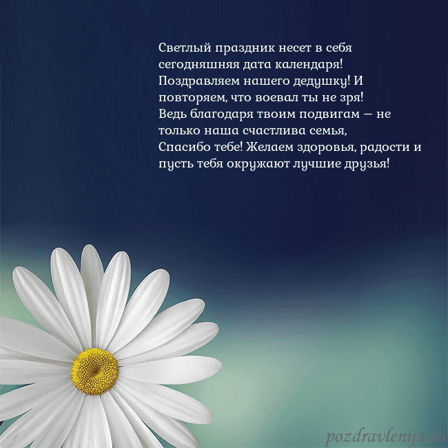 Открытка с большой ромашкой