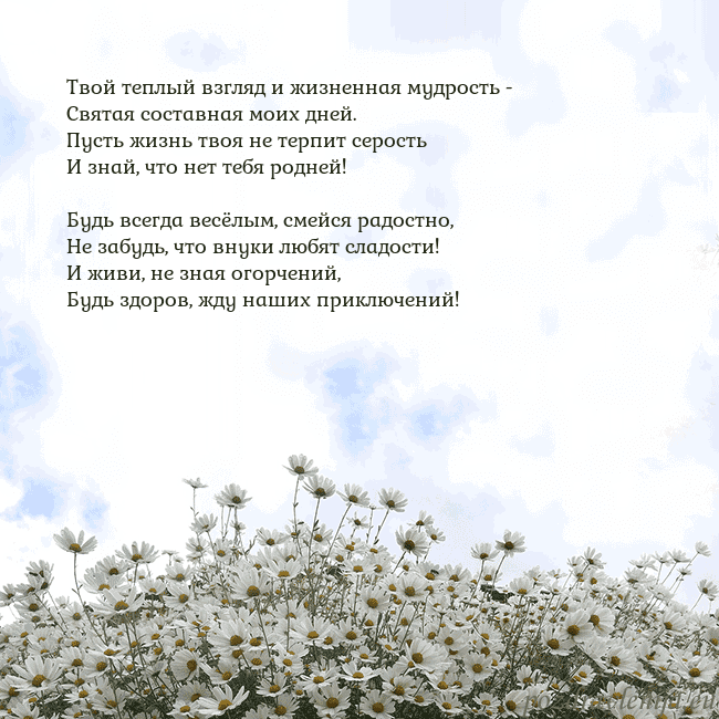 Открытка с ромашками