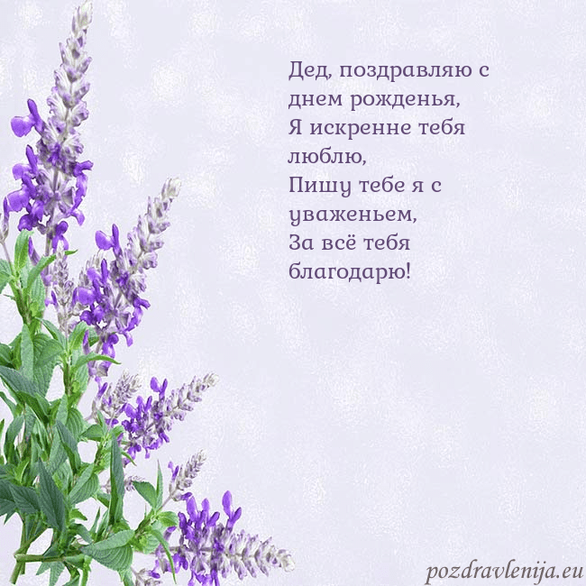 Открытка с люпинами
