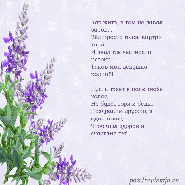 Открытка с люпинами