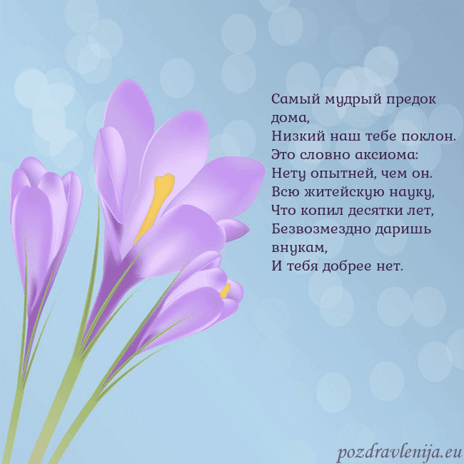 Открытка с крокусом