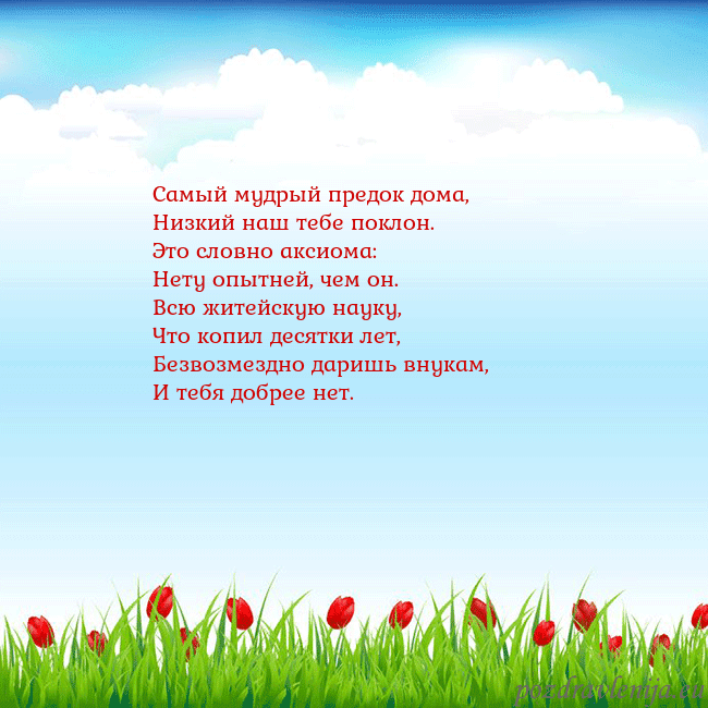 Открытка с тюльпанами