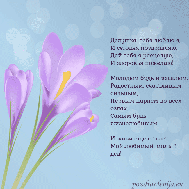 Открытка с крокусом