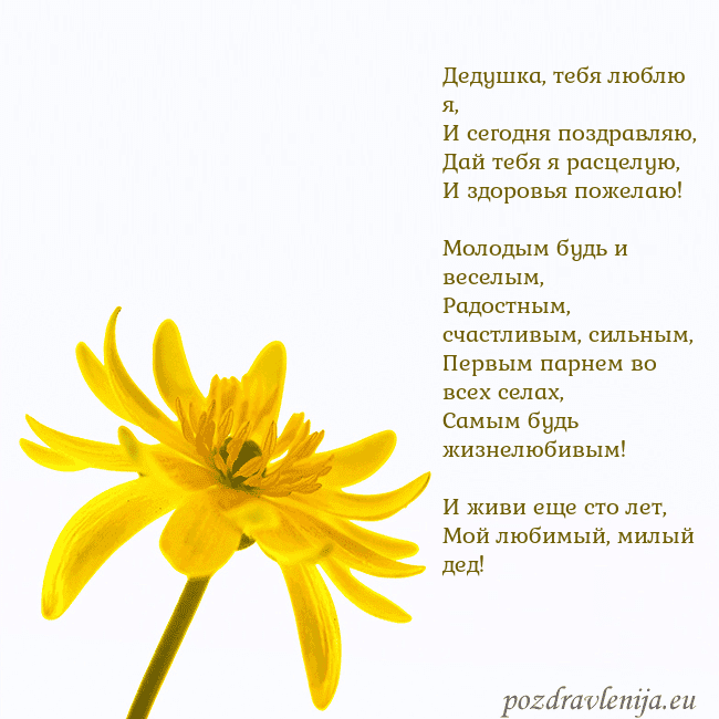 Открытка с желтым цветком