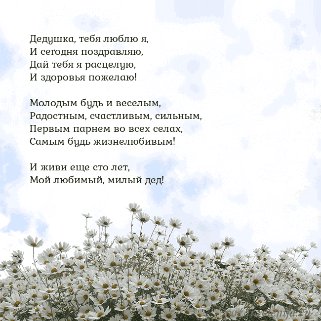 Открытка с ромашками