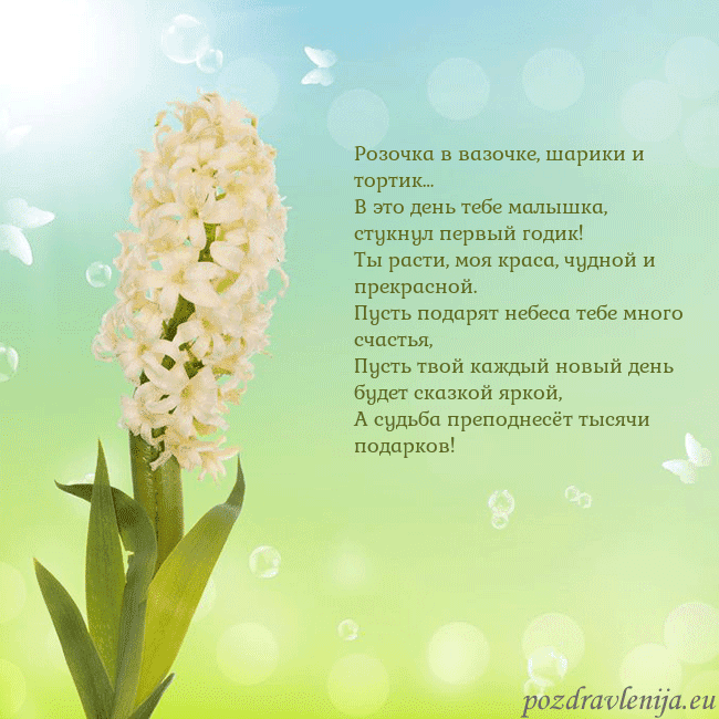 Открытка с гиацинтом