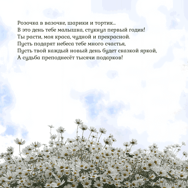 Открытка с ромашками
