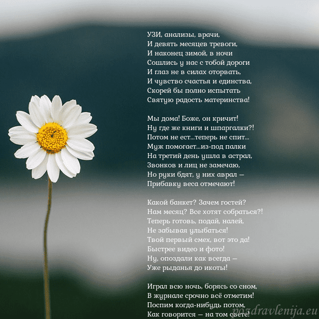 Электронная открытка с ромашкой УЗИ, анализы, врачи,
И девять месяцев тревоги,
И Электронная открытка с ромашкой