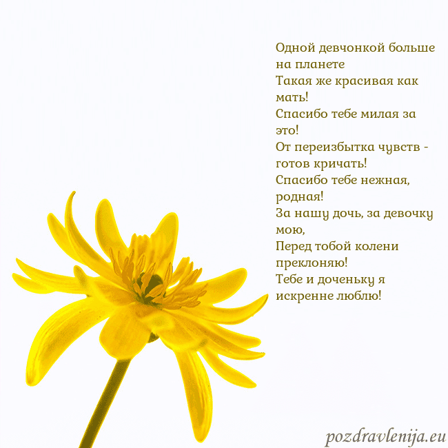 Открытка с желтым цветком