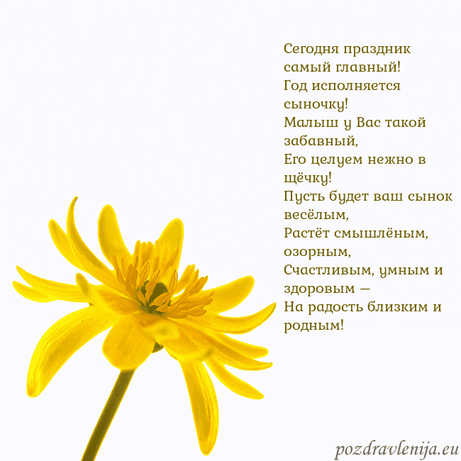 Открытка с желтым цветком