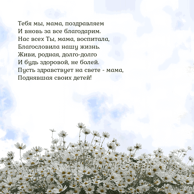 Открытка с ромашками