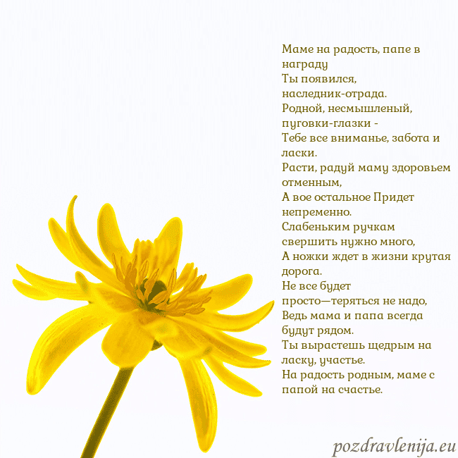 Открытка с желтым цветком