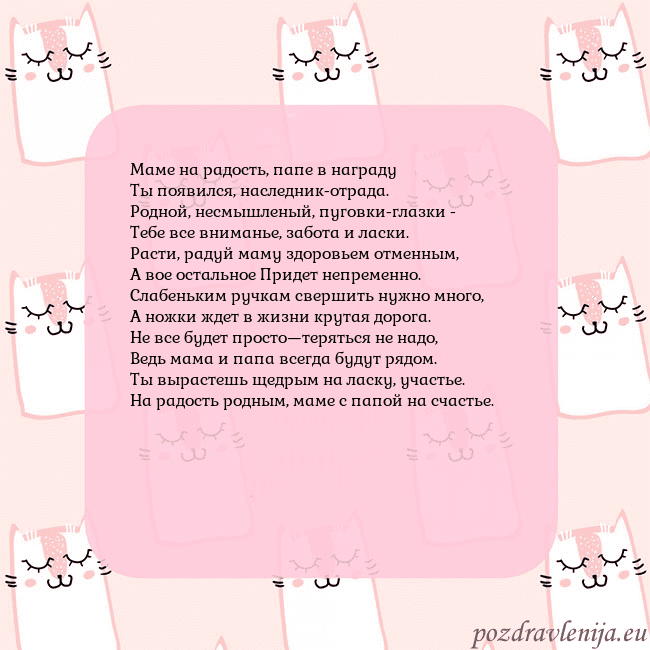 Розовая открытка с забавными кошками