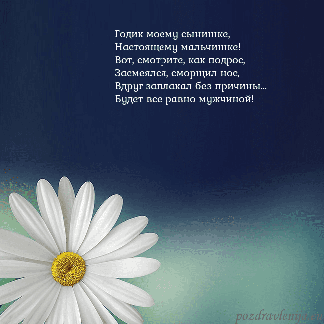 Открытка с большой ромашкой