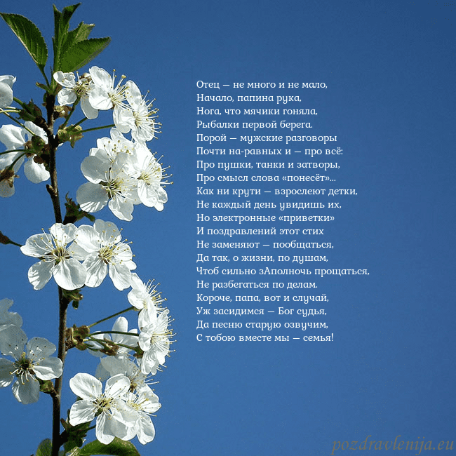 Открытка с весенними цветами Отец – не много и не мало,
Начало, папина рука,
Но Открытка с весенними цветами