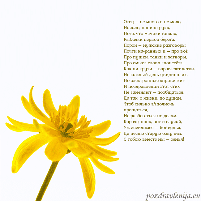 Открытка с желтым цветком Отец – не много и не мало,
Начало, папина рука,
Но Открытка с желтым цветком