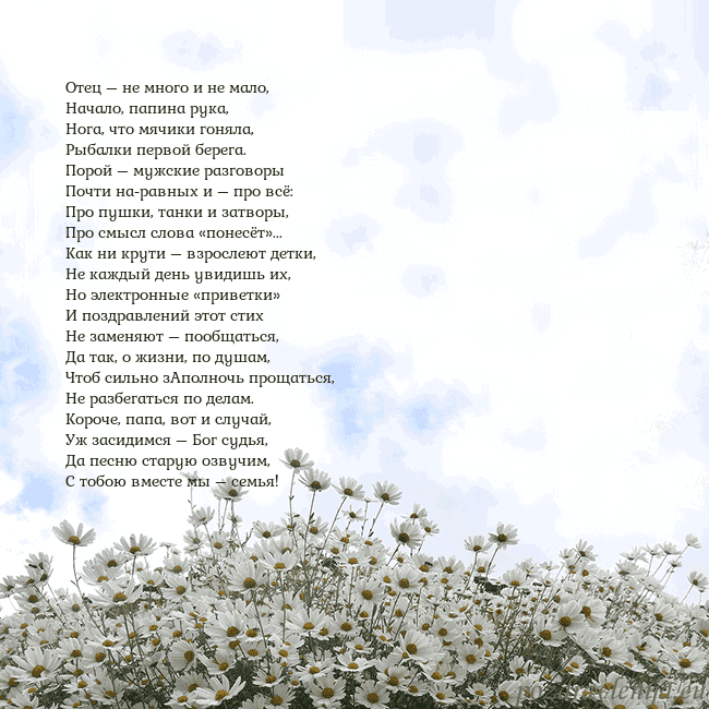 Открытка с ромашками Отец – не много и не мало,
Начало, папина рука,
Но Открытка с ромашками