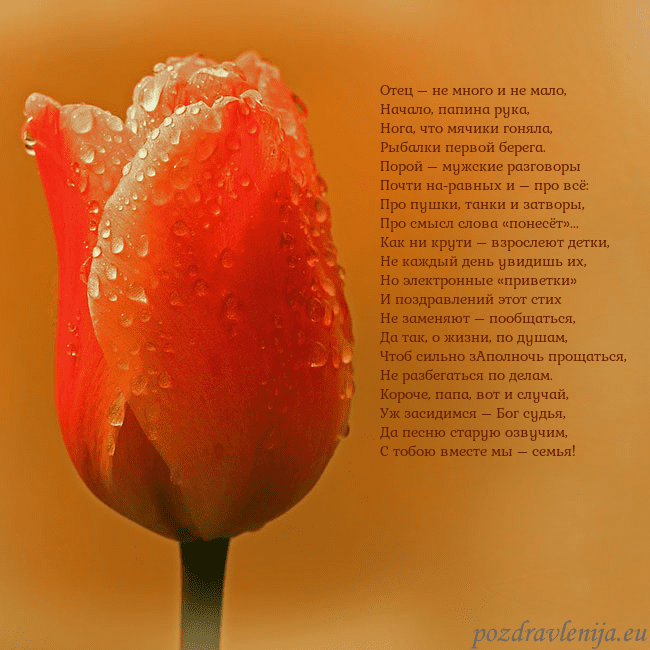 Открытка с красным тюльпаном Отец – не много и не мало,
Начало, папина рука,
Но Открытка с красным тюльпаном