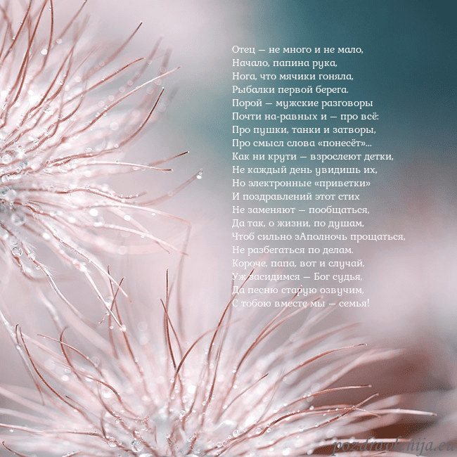 Открытка с пушистыми растениями Отец – не много и не мало,
Начало, папина рука,
Но Открытка с пушистыми растениями