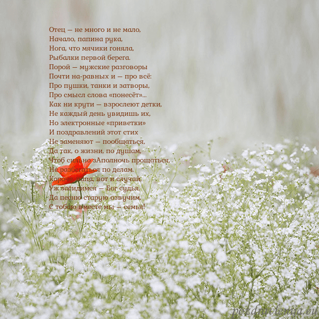 Электронная открытка с белыми цветами Отец – не много и не мало,
Начало, папина рука,
Но Электронная открытка с белыми цветами