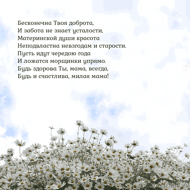 Открытка с ромашками