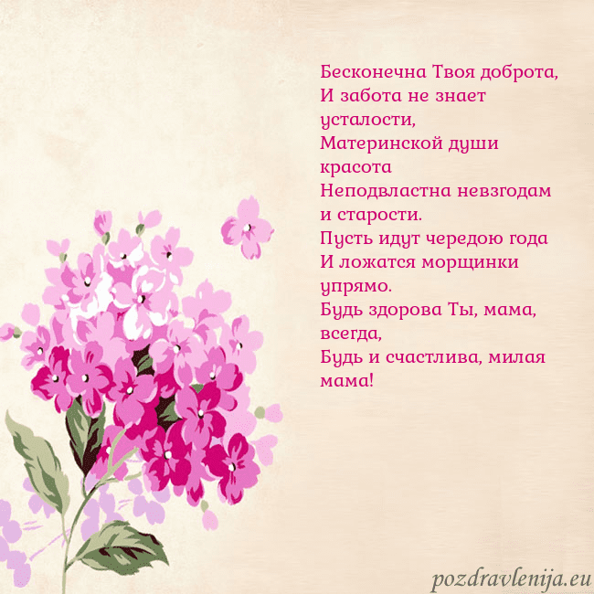 Открытка с гортензией